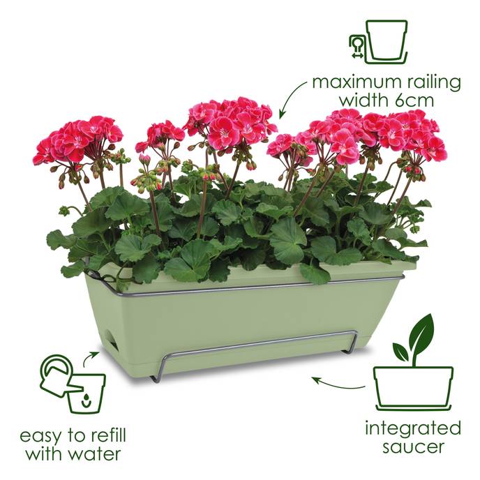 barcelona allin1 50cm pistachio green